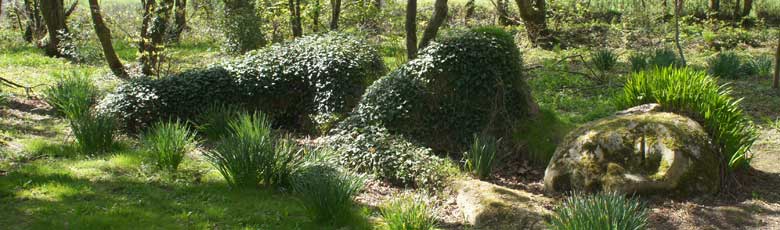 heligan-gardens